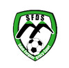 logo St Forgeot Dracy S.