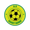 logo AM.S St Seinoise