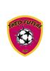 logo Theo Futsal