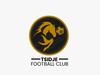 logo Tsidje FC