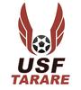 logo US de Football de Tarare