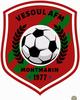 logo Association Amicale Franco Marocaine Vesoul