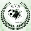 logo Esp. Vieille Brioude