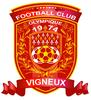 logo Vigneux FCo. 21