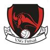 logo Vsg Futsal